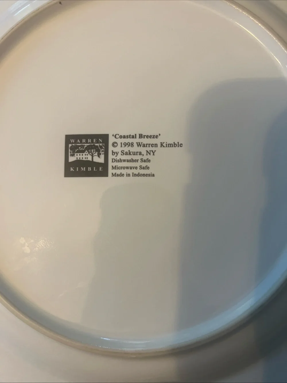 Coastal Village Dinner Plate in Aqua and White 12”